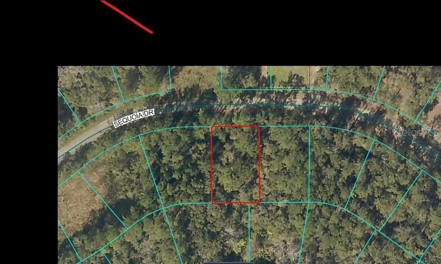 Sequoia Dr Property Photo 2