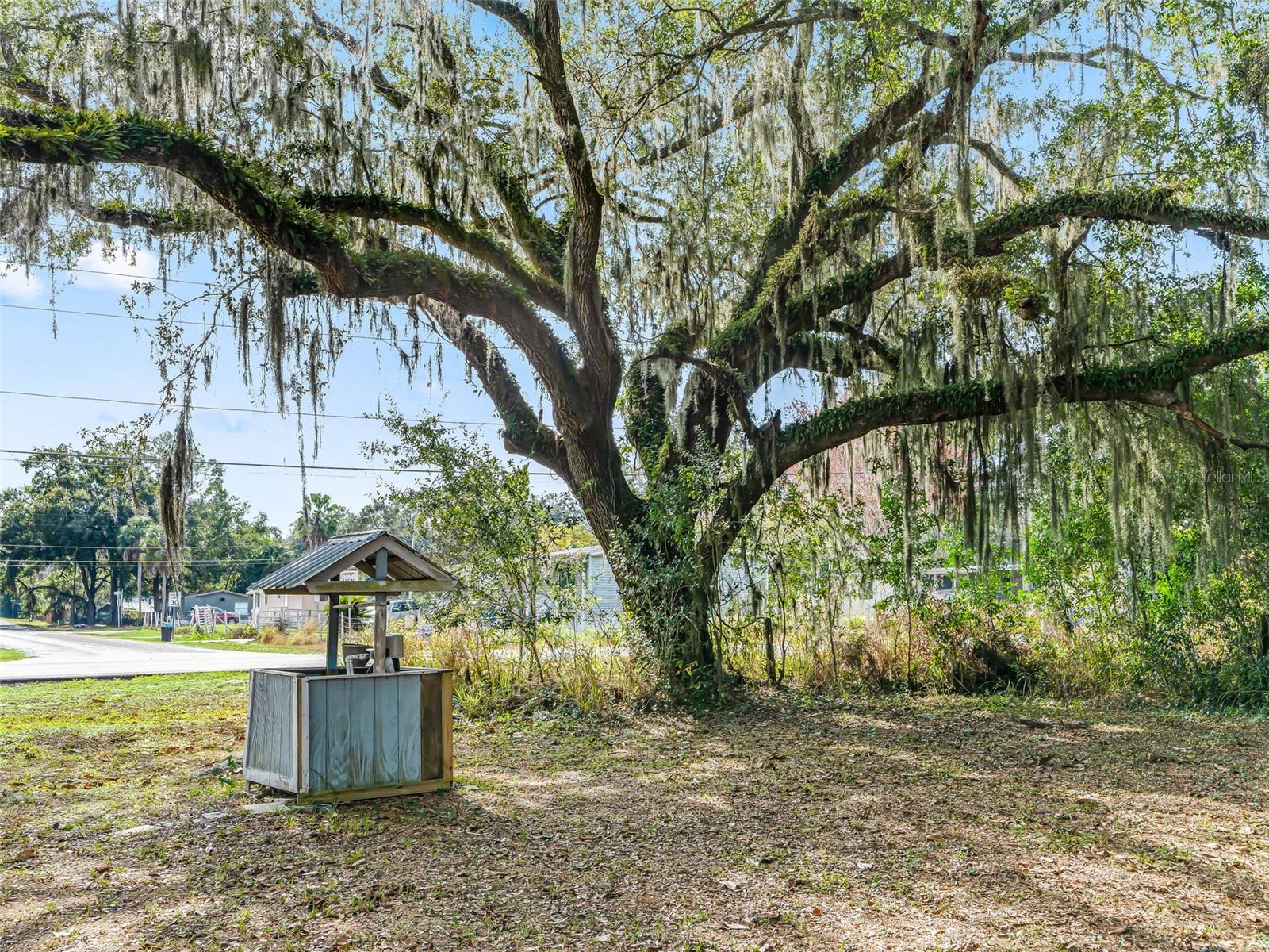 10487 Se Highway 42 Property Photo 59