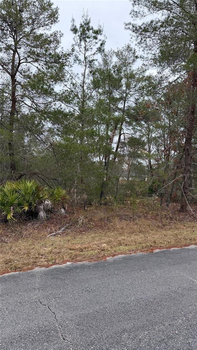 Malauka Dr Property Photo 2