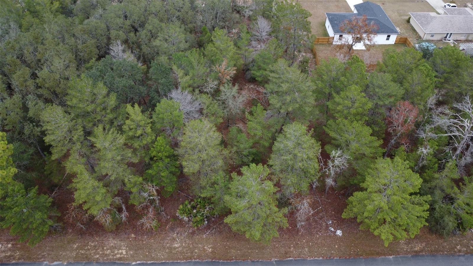 Malauka Dr Property Photo 3