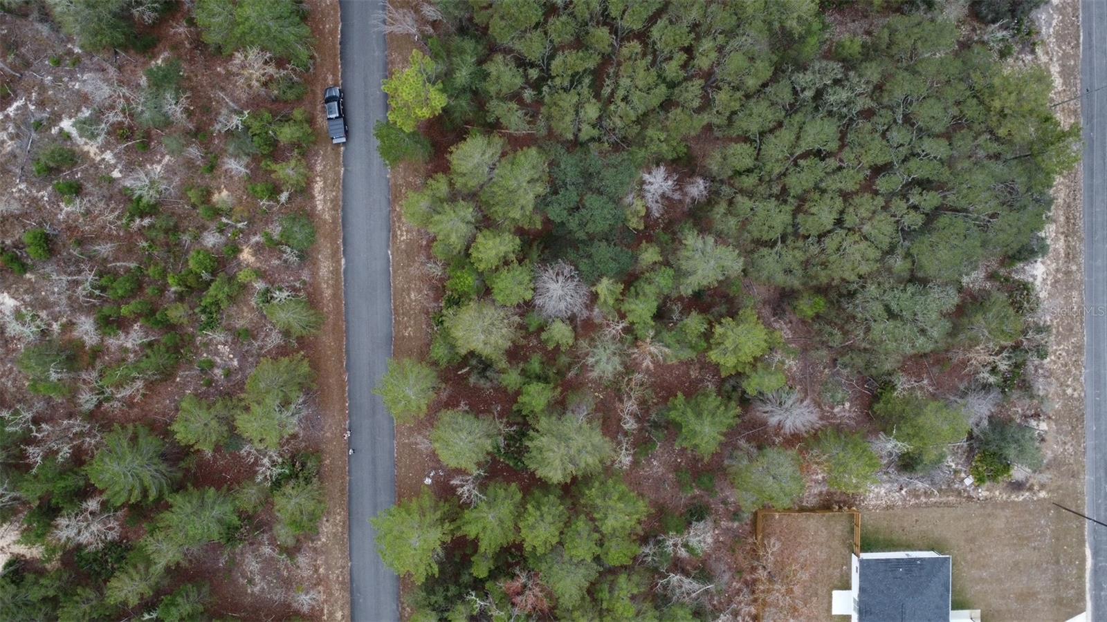 Malauka Dr Property Photo 6