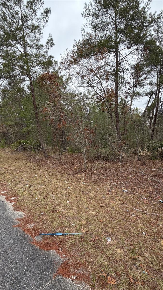 Malauka Dr Property Photo 7