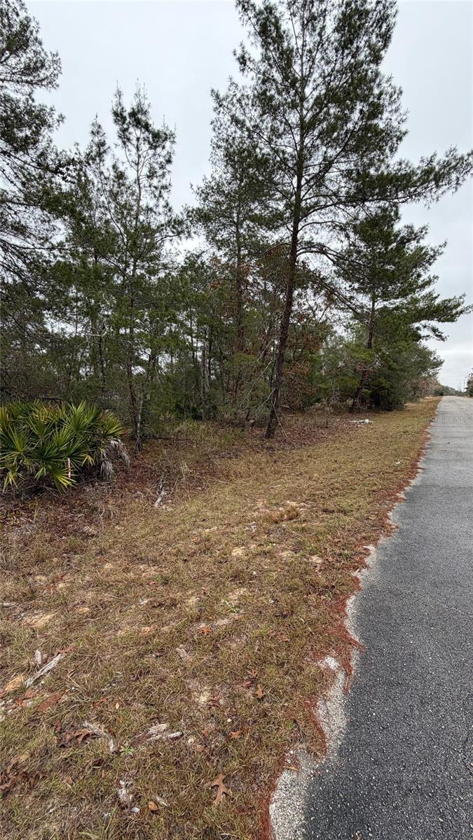 Malauka Dr Property Photo 8