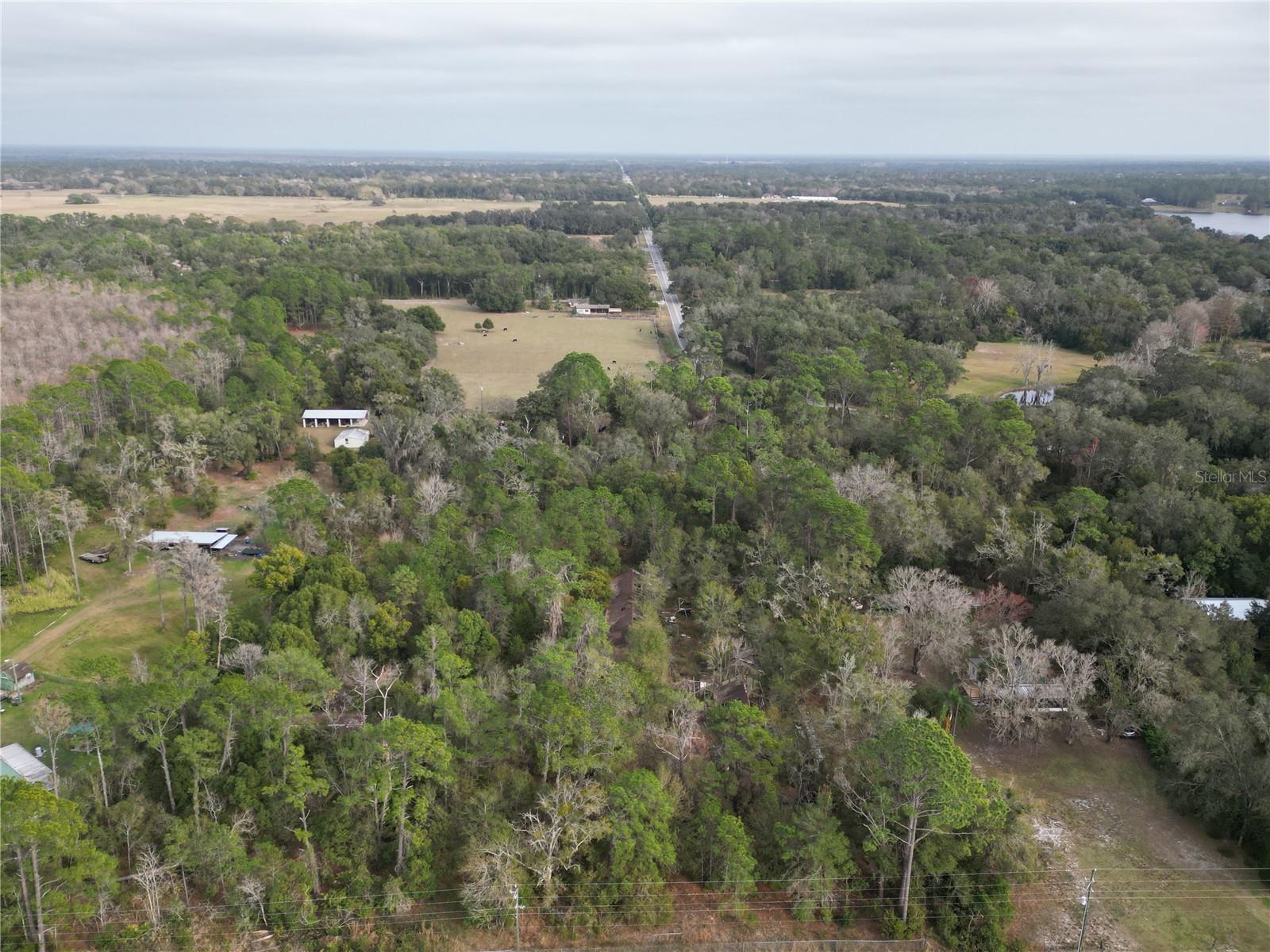 36242 County Road 439 Property Photo 1