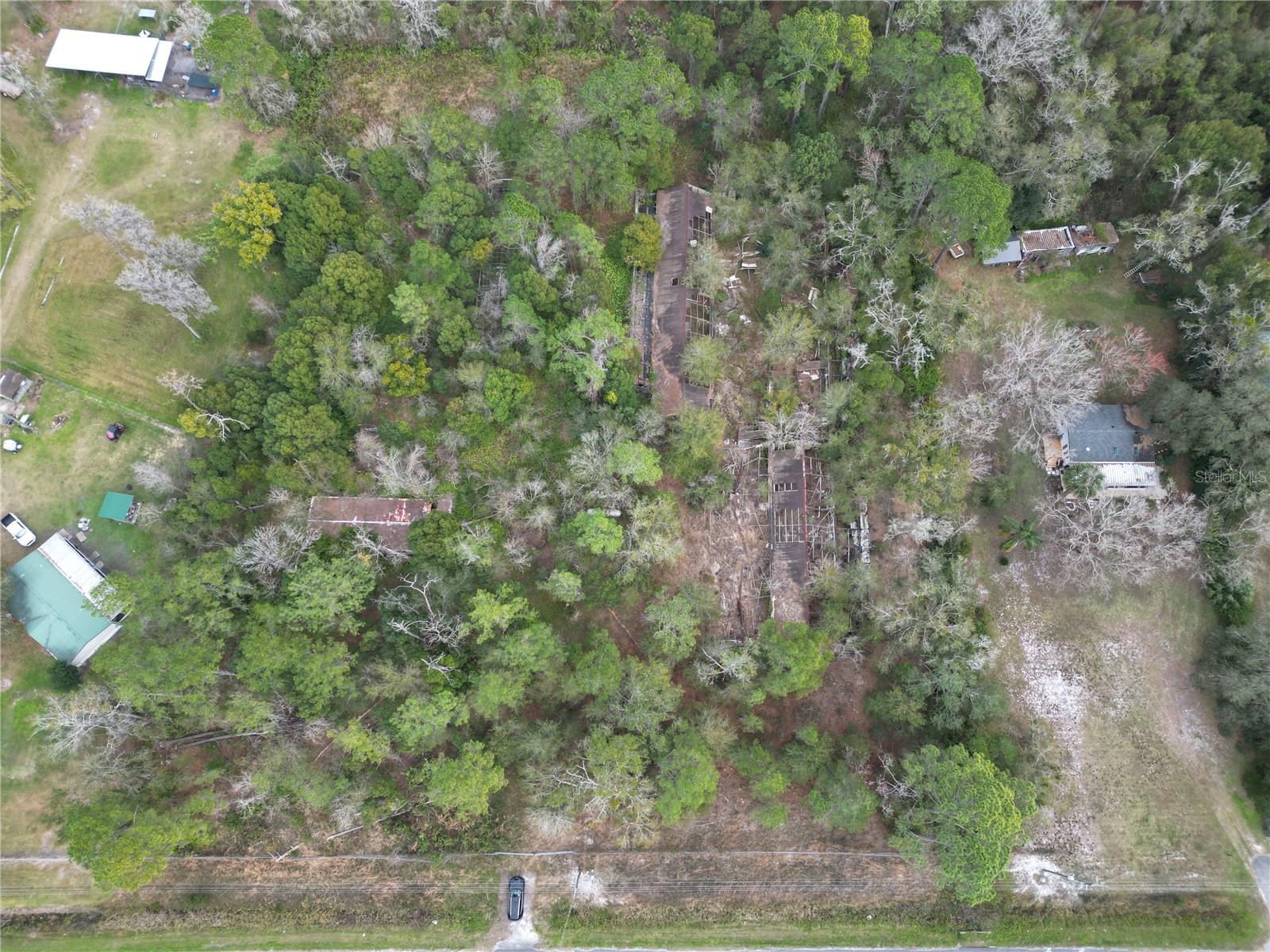 36242 County Road 439 Property Photo 5