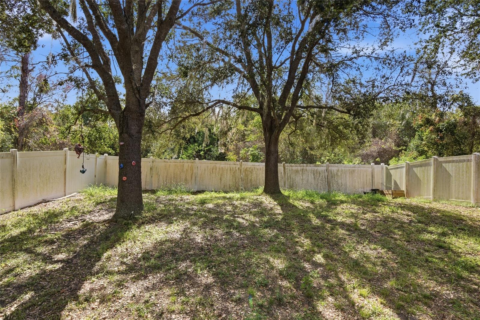 2463 Martins Run Property Photo 22