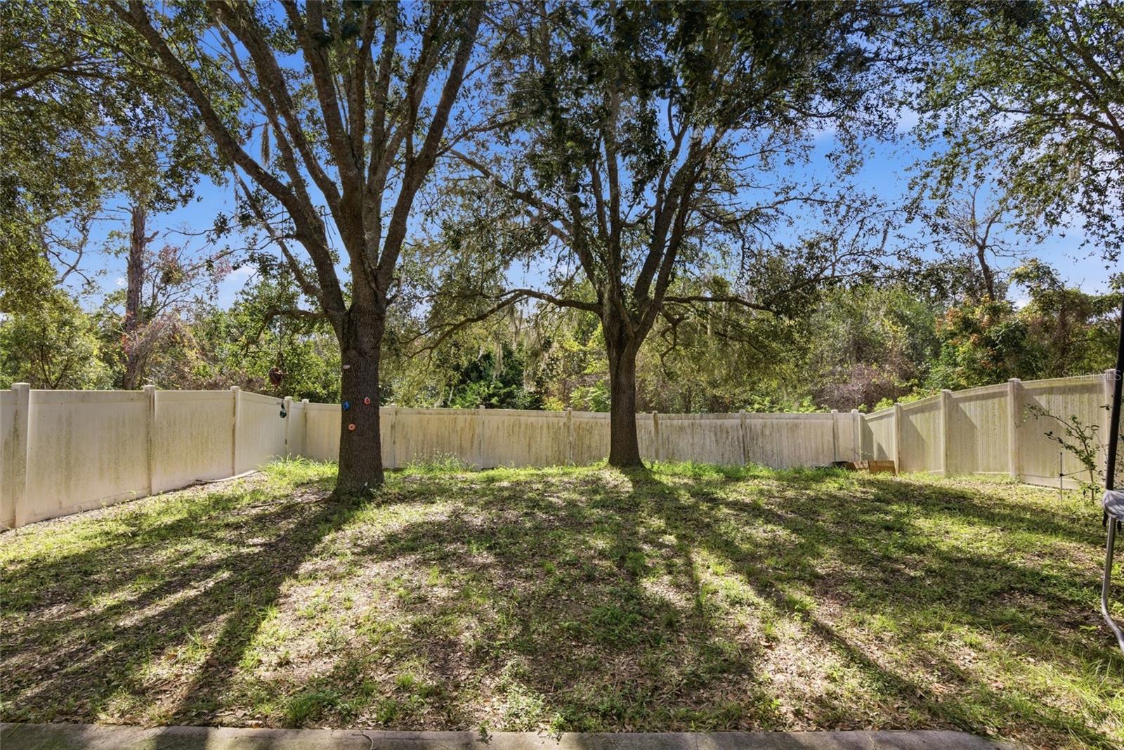 2463 Martins Run Property Photo 23