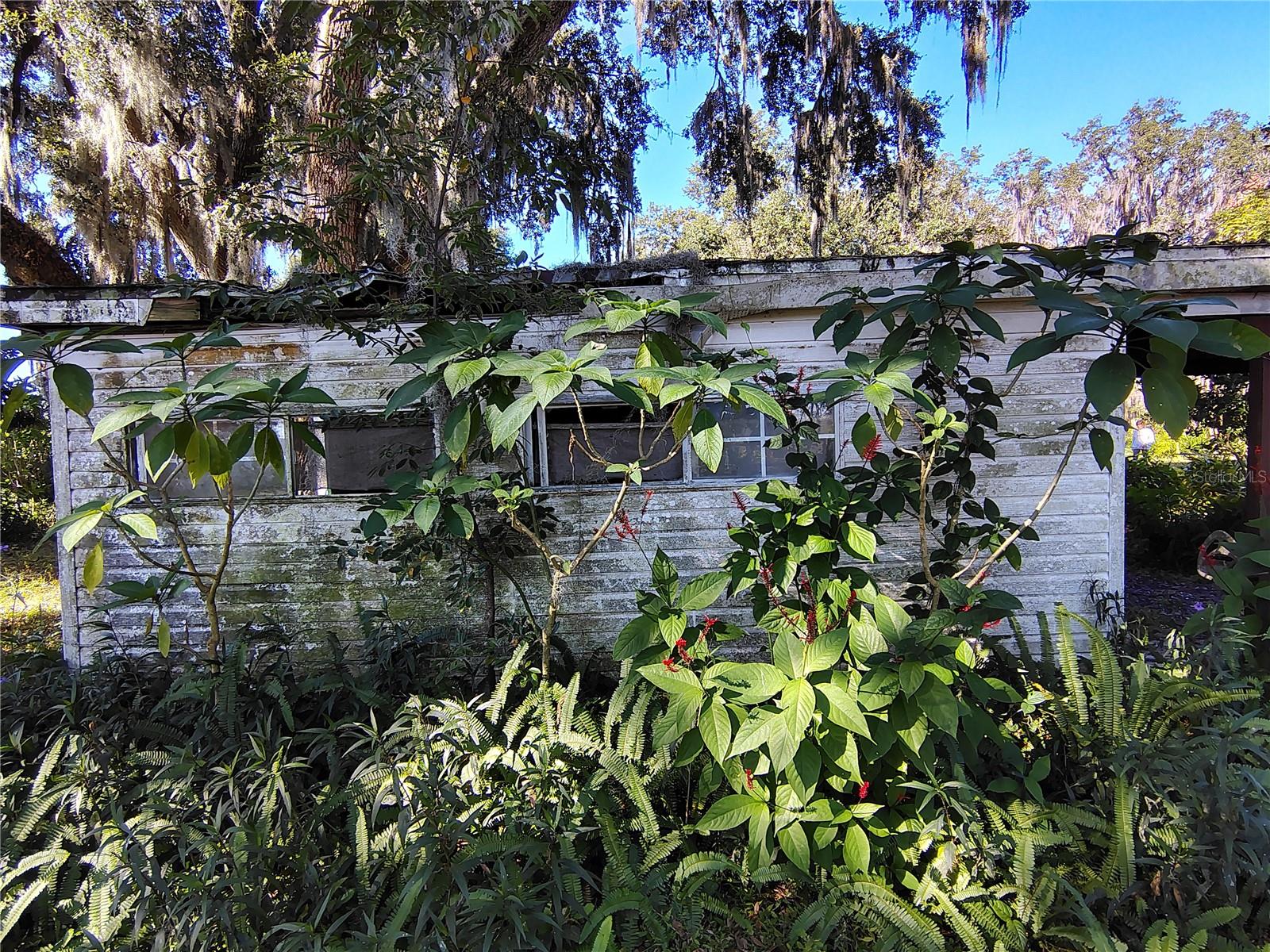 3537 E C 462 Property Photo 32