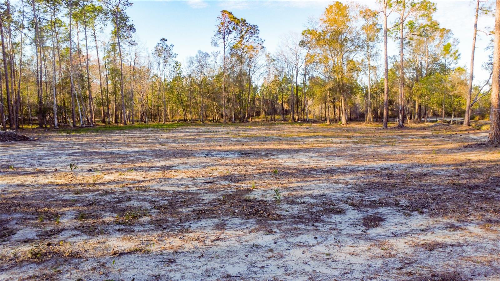 0 State Road 33 Property Photo 3