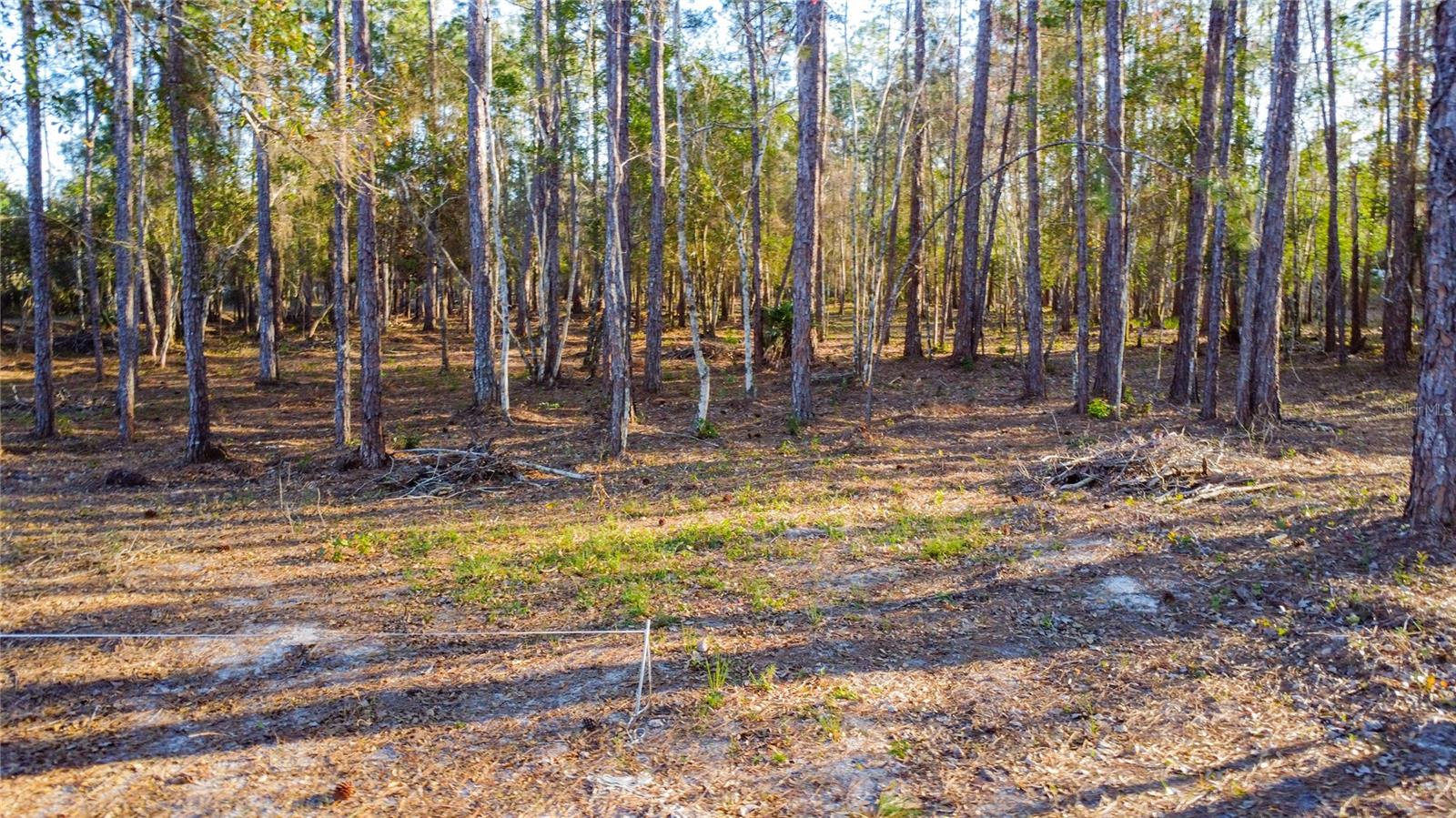 0 State Road 33 Property Photo 4