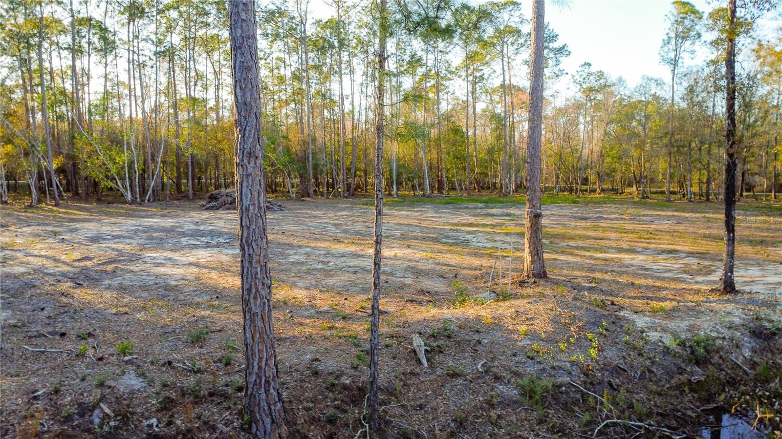 0 State Road 33 Property Photo 7