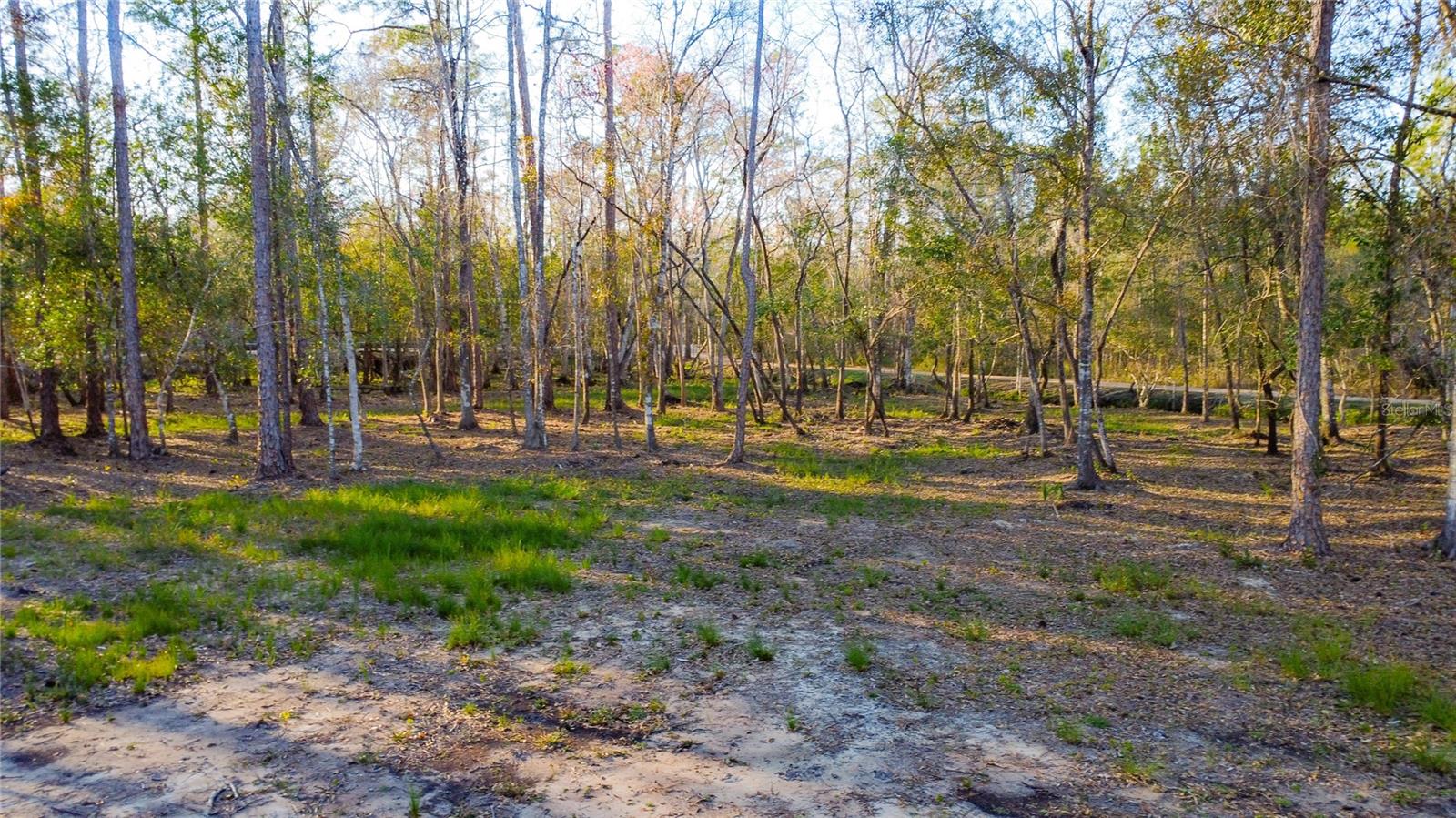 0 State Road 33 Property Photo 8