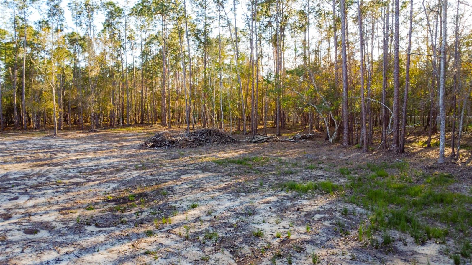 0 State Road 33 Property Photo 9