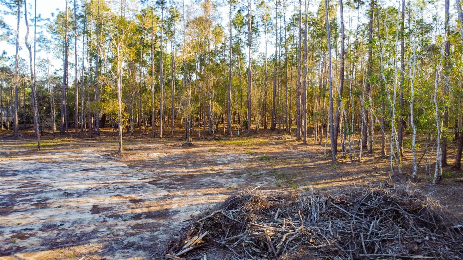 0 State Road 33 Property Photo 10