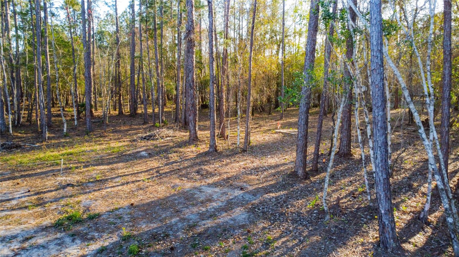 0 State Road 33 Property Photo 11