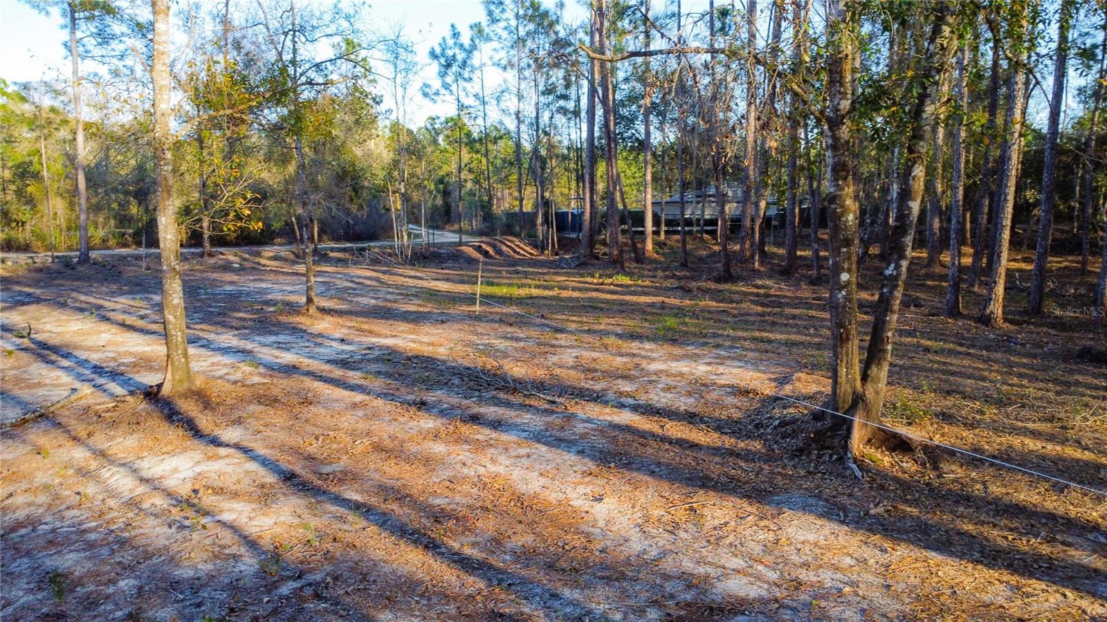 0 State Road 33 Property Photo 12