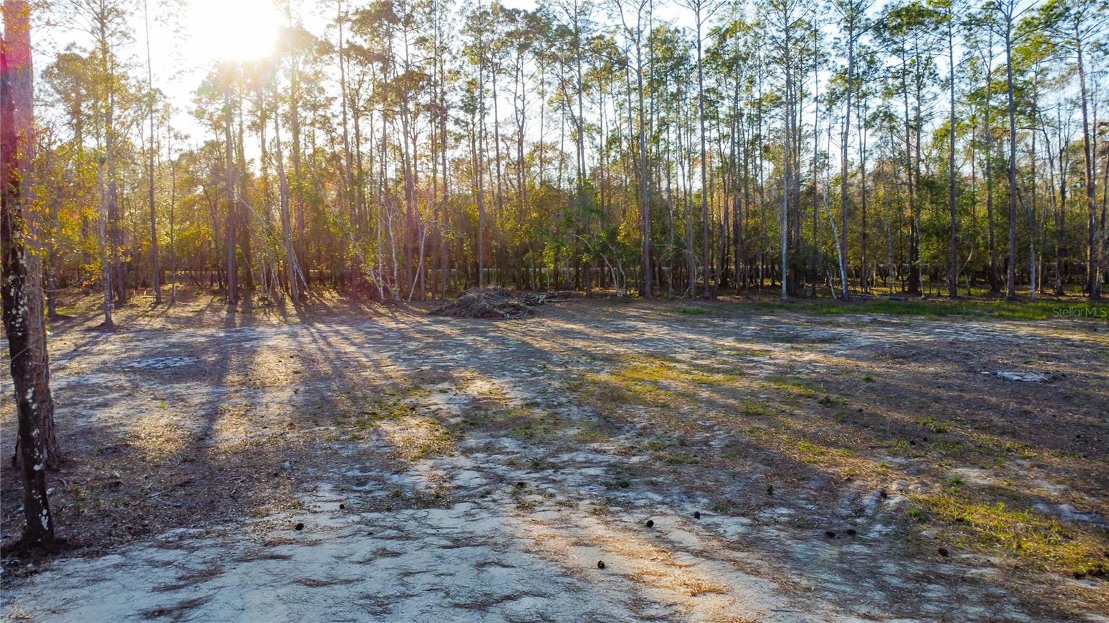 0 State Road 33 Property Photo 13
