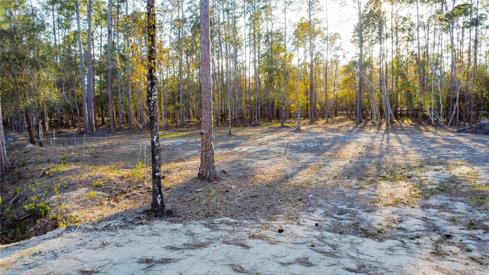 0 State Road 33 Property Photo 14