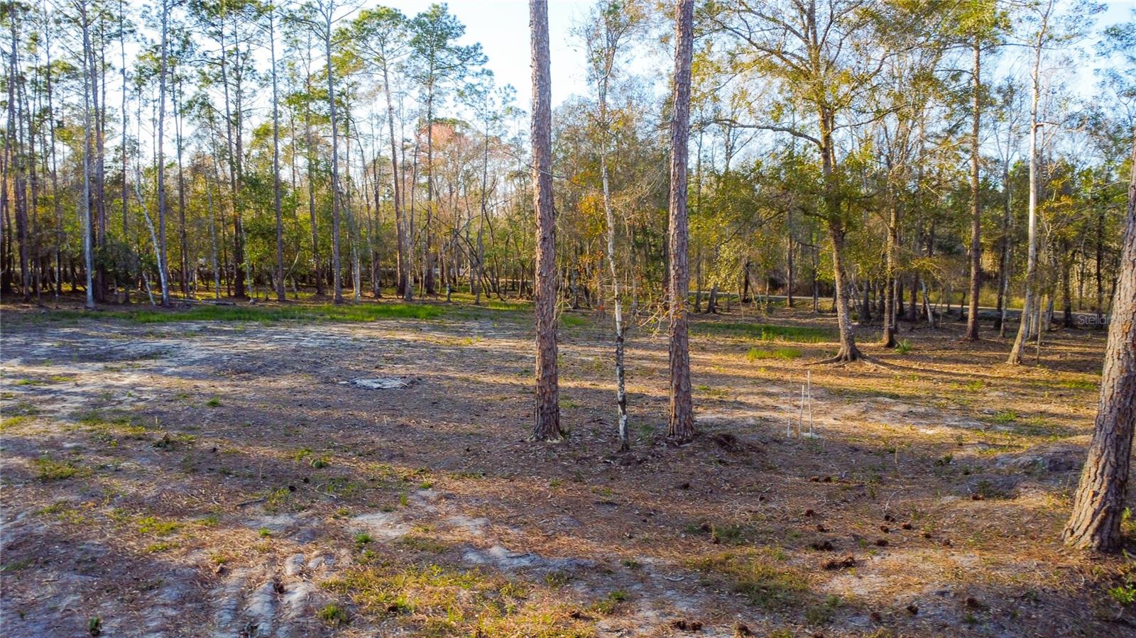 0 State Road 33 Property Photo 15