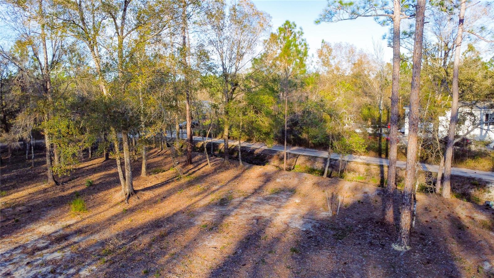 0 State Road 33 Property Photo 18