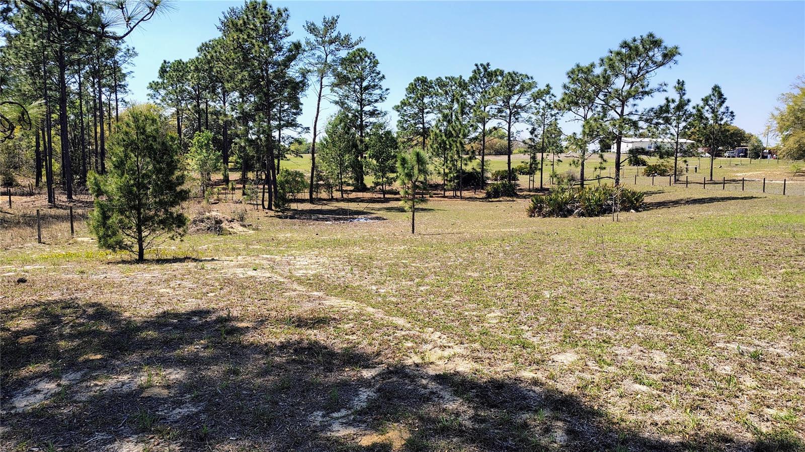 15971 Se 108th Loop Property Photo 24