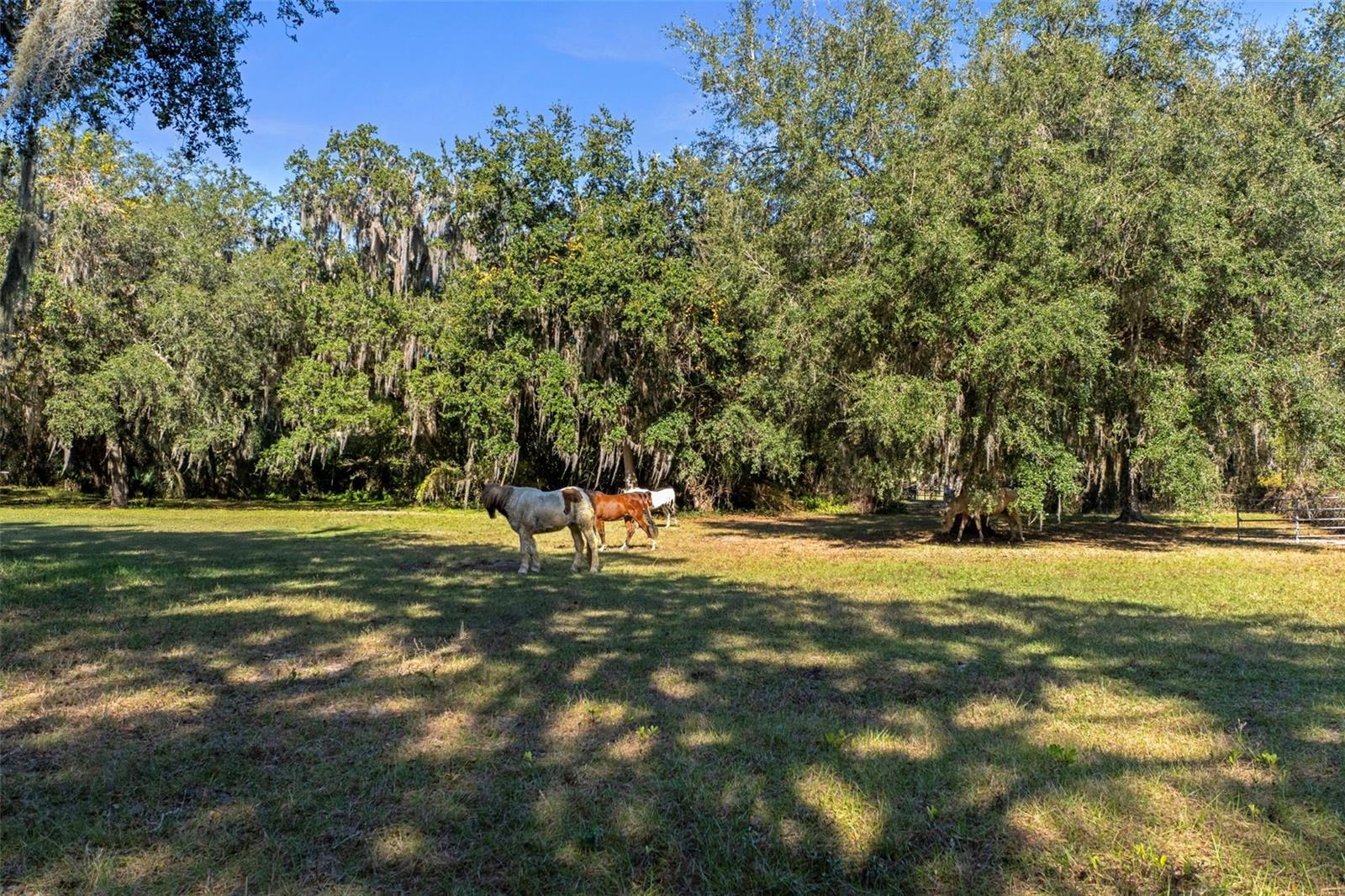 G5107677 Property Photo 73