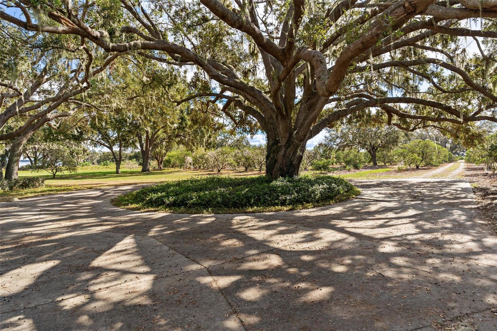 38230 Yale Cir Property Photo 52