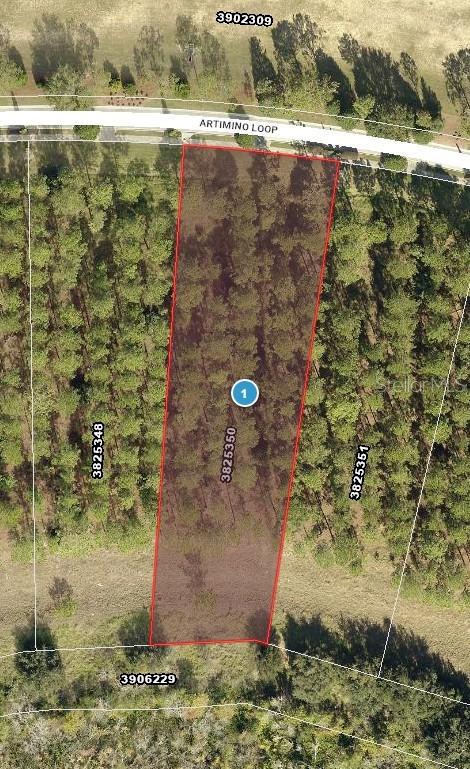 16802 Artimino Loop Property Photo 2
