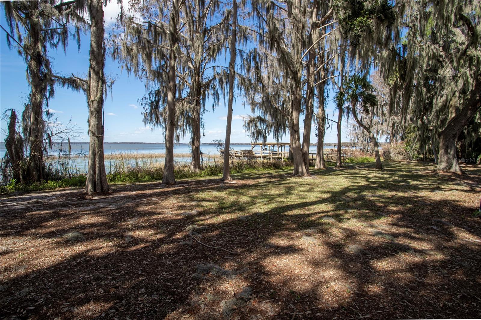 31035 Cove Rd Property Photo 4