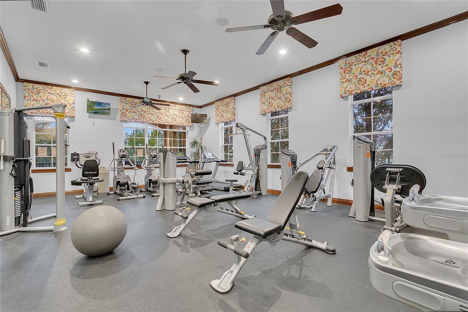 30337 Gidran Ter Property Photo 66