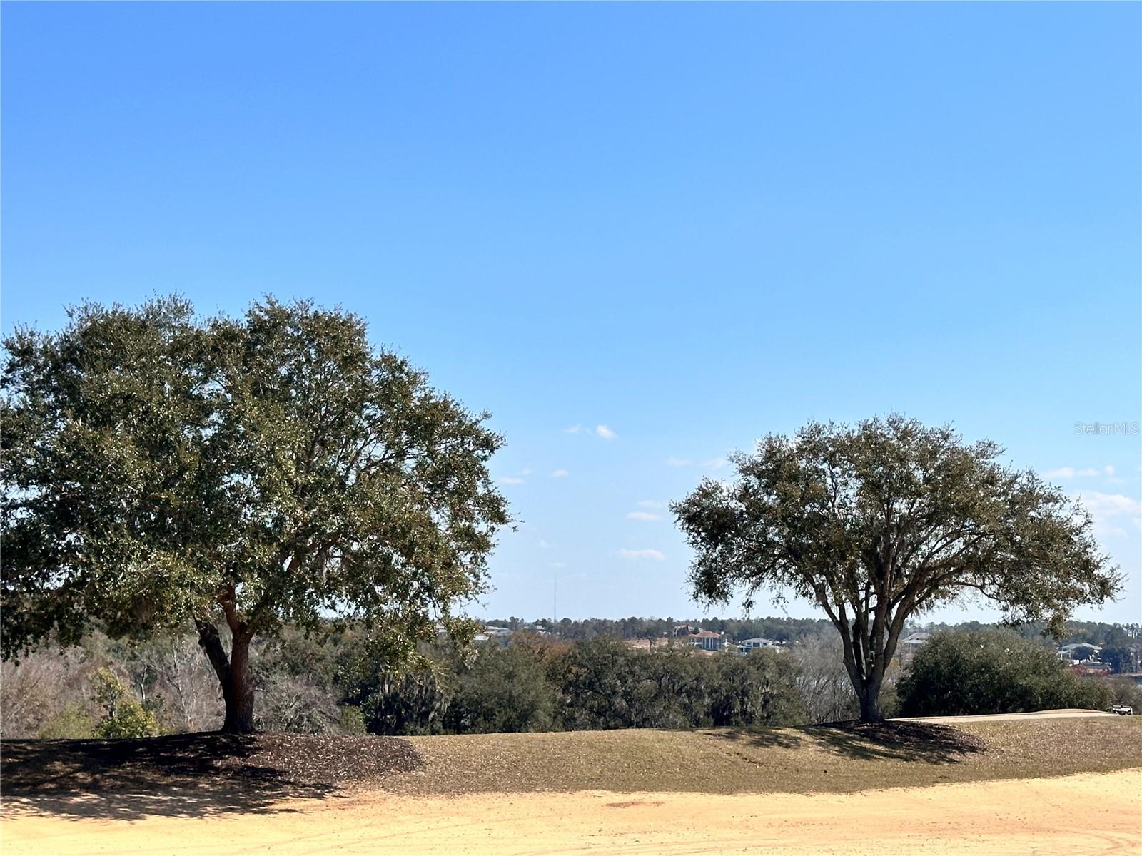 16822 Artimino Loop Property Photo 1