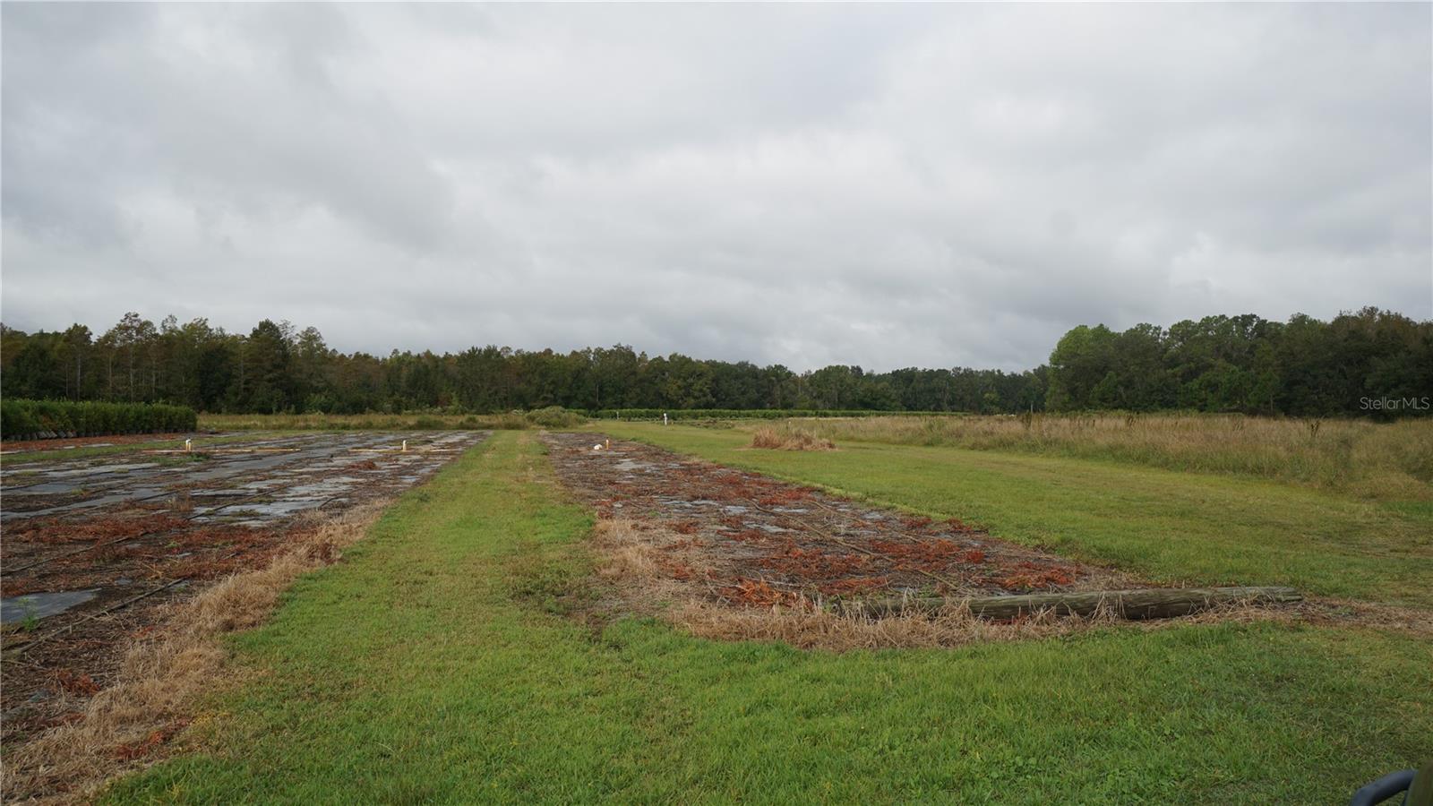Douglas Rd Property Photo 17
