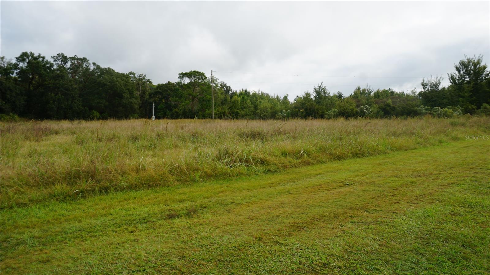 Douglas Rd Property Photo 18