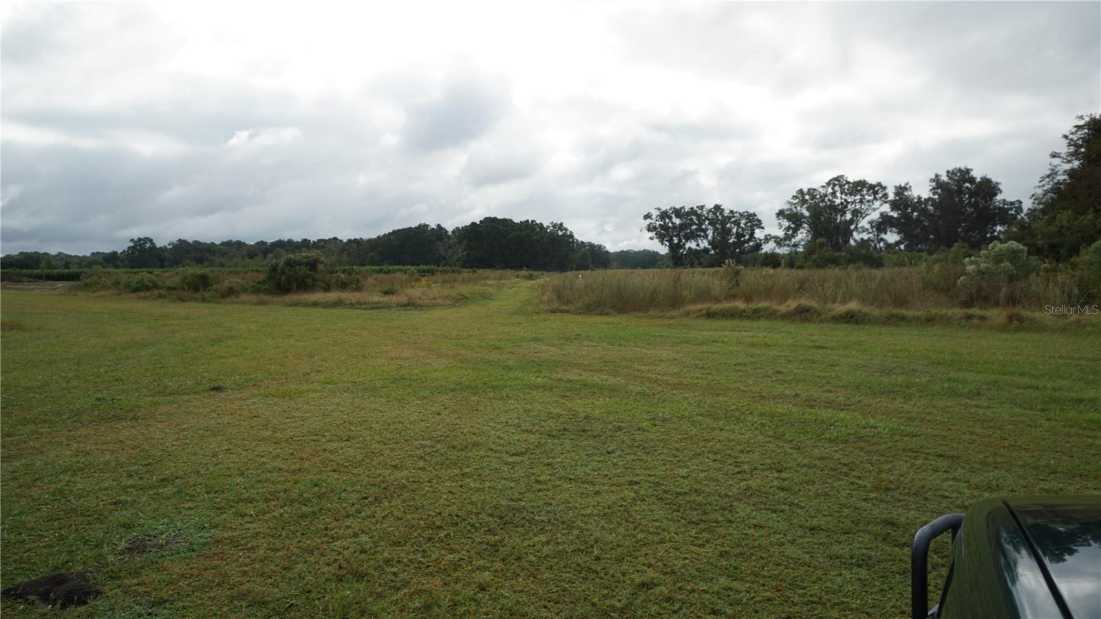 Douglas Rd Property Photo 20