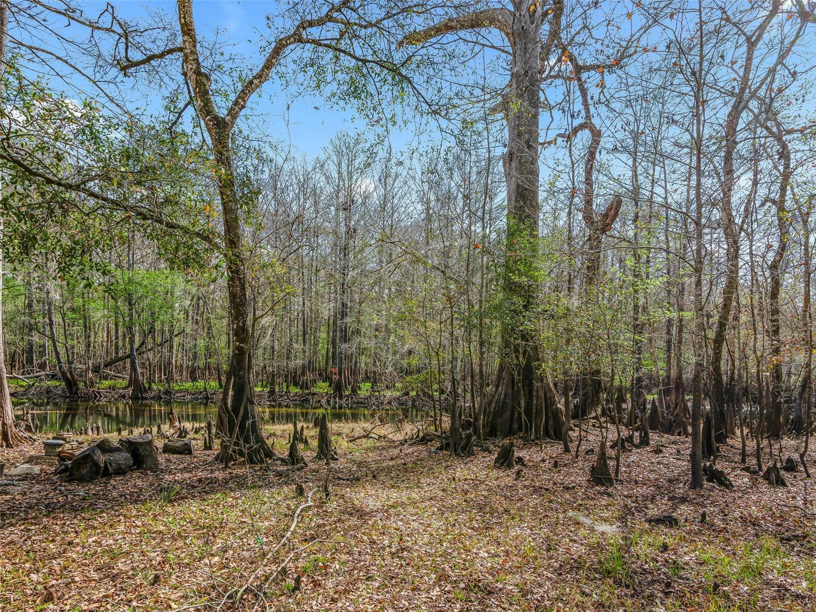 8935 Cr 647s Property Photo 21