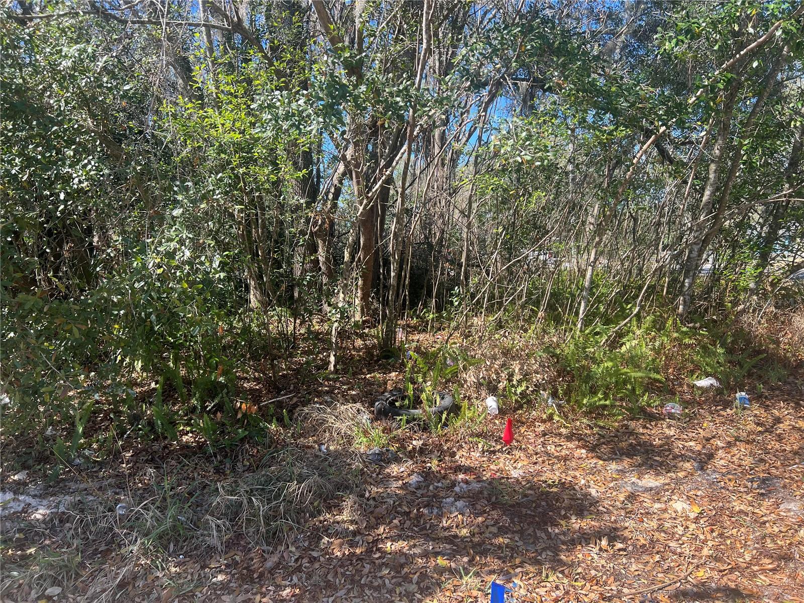 0 Stinson St Property Photo 1