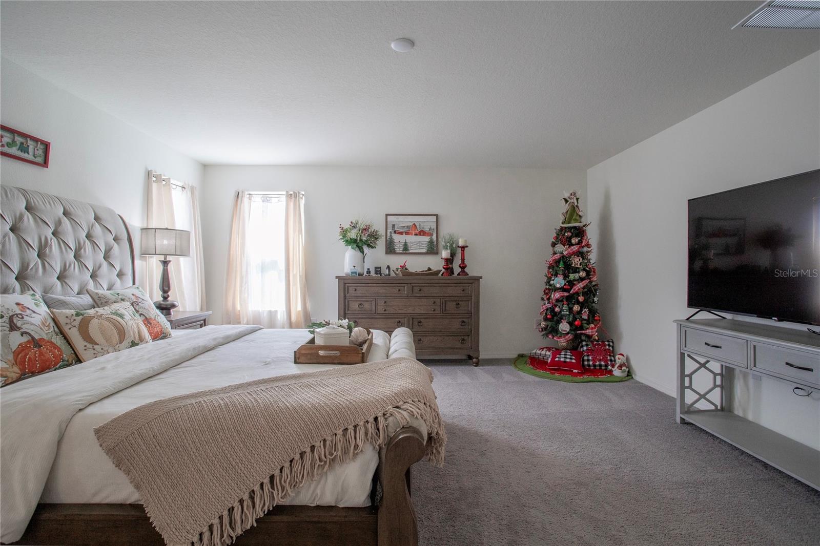 605 Sarner Pass Way Property Photo 23