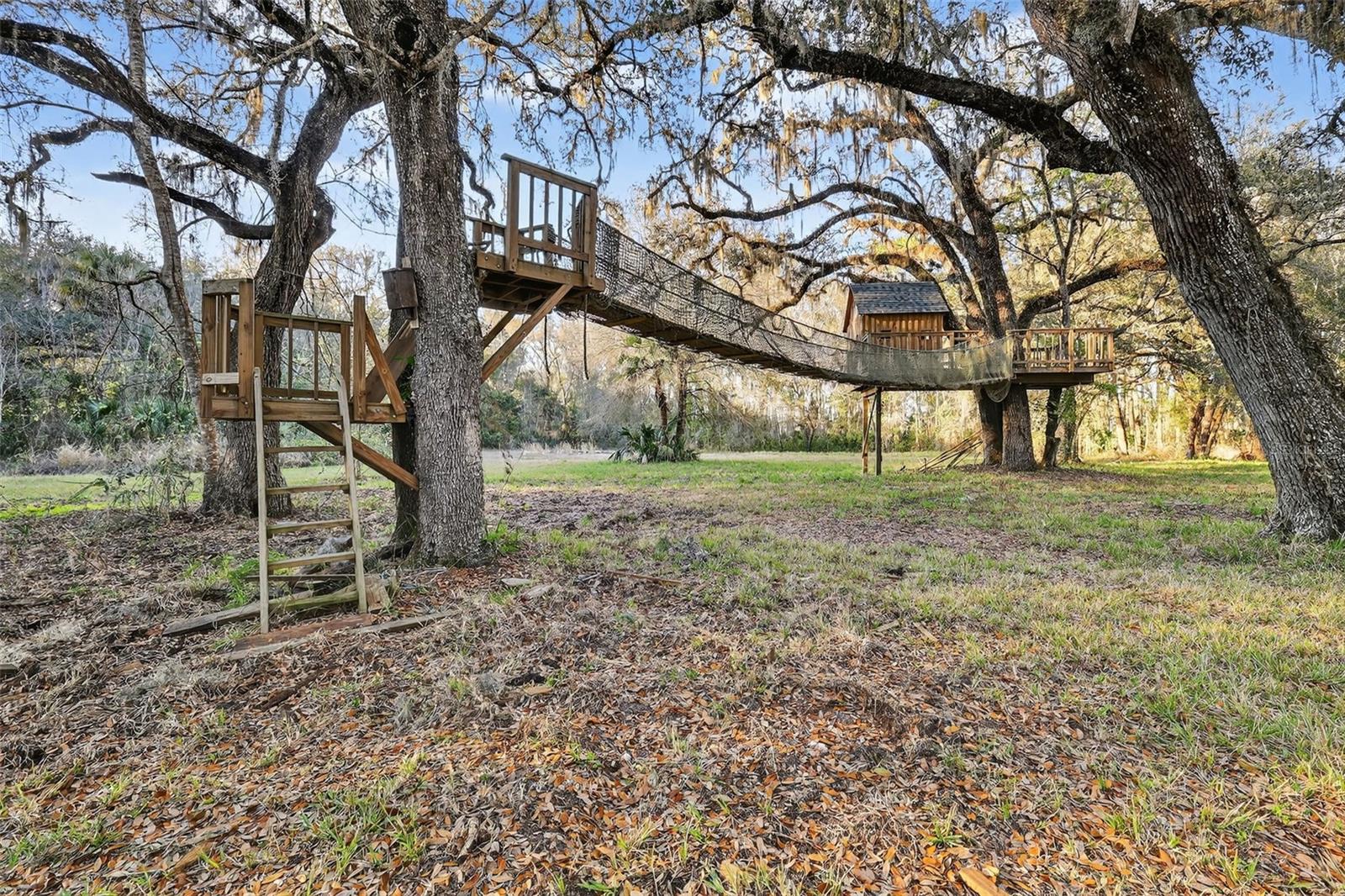 1721 County Road 25a Property Photo 3