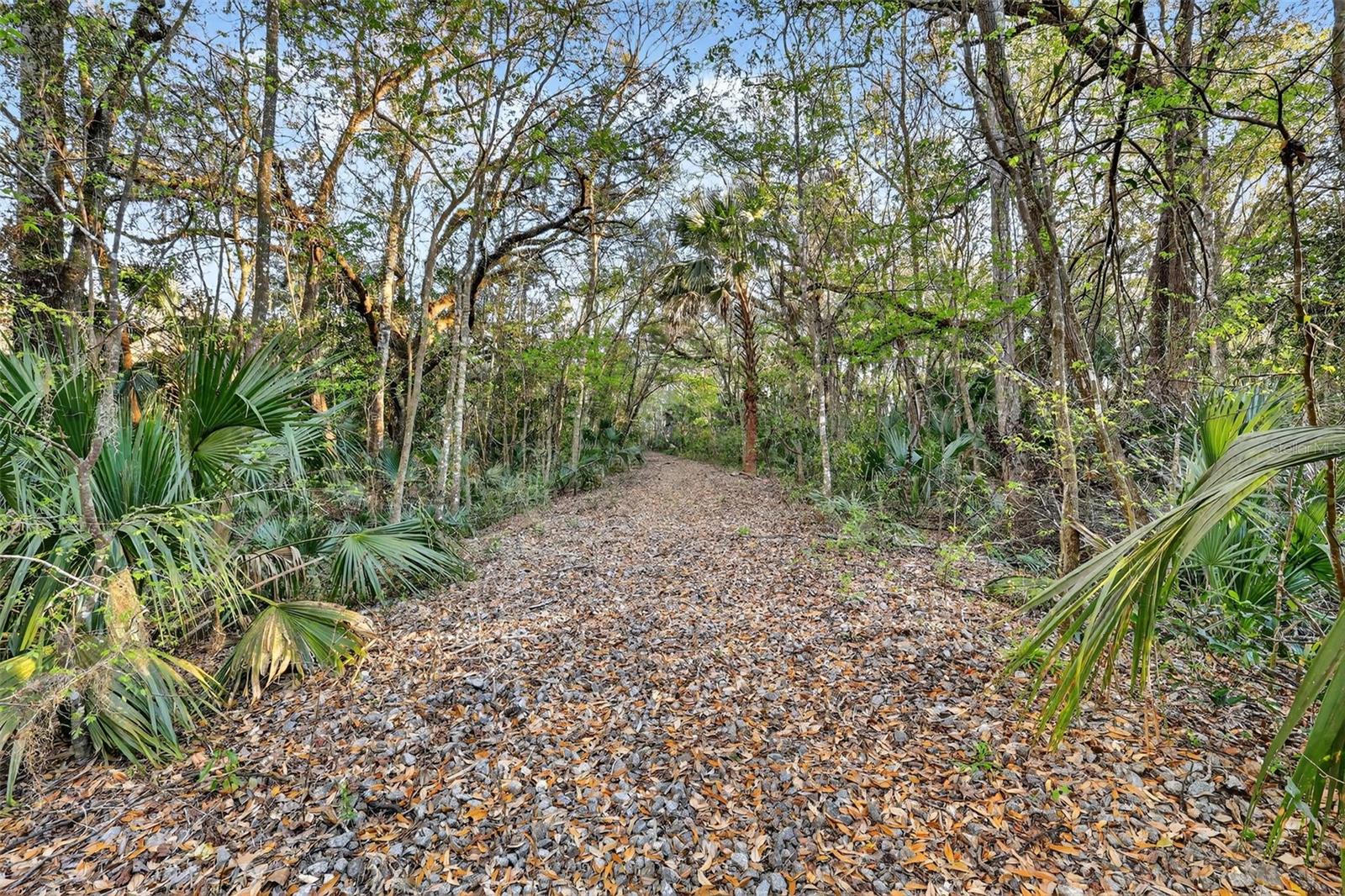 1721 County Road 25a Property Photo 6