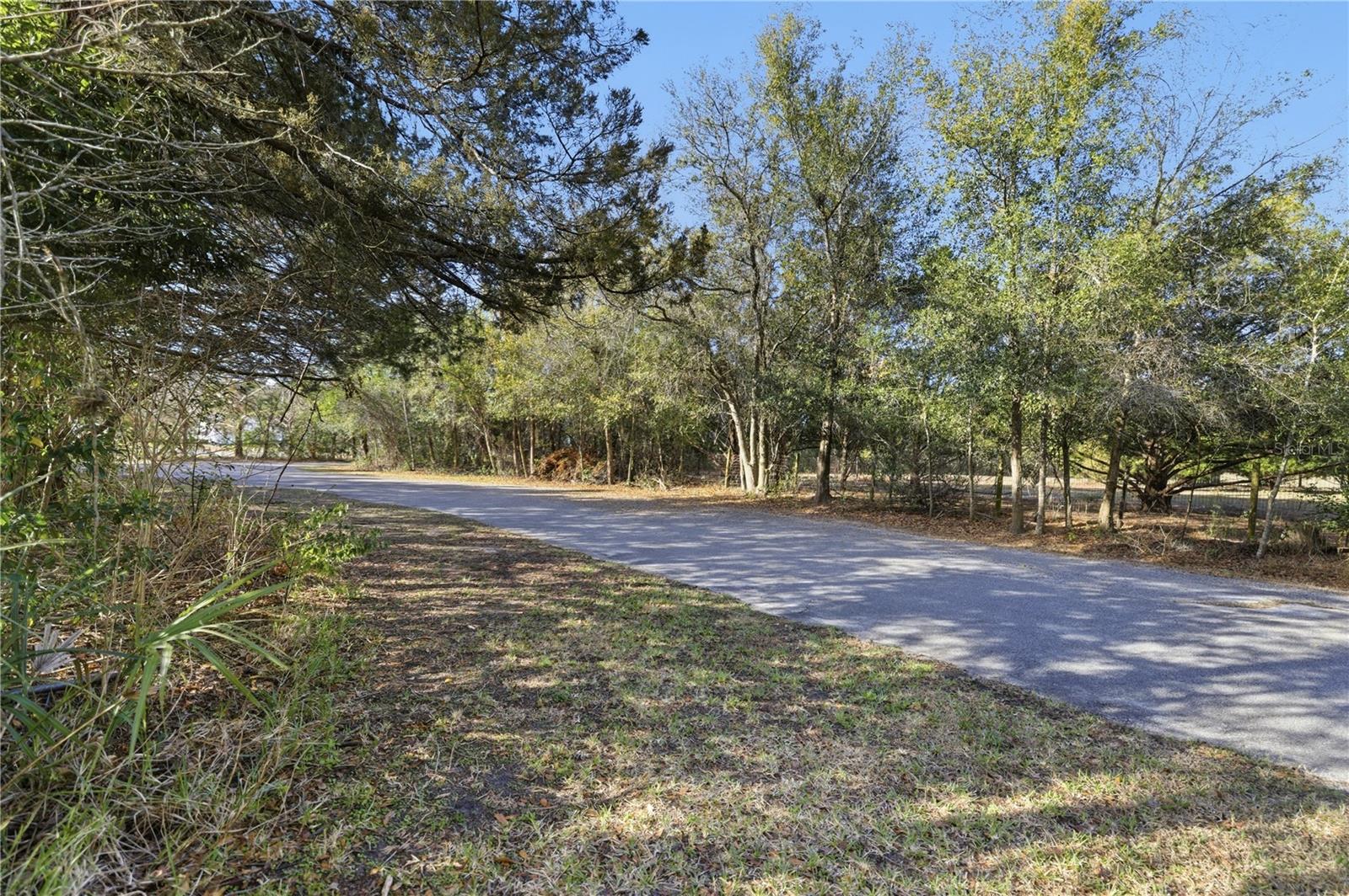 10689 Se 174th Loop Property Photo 15
