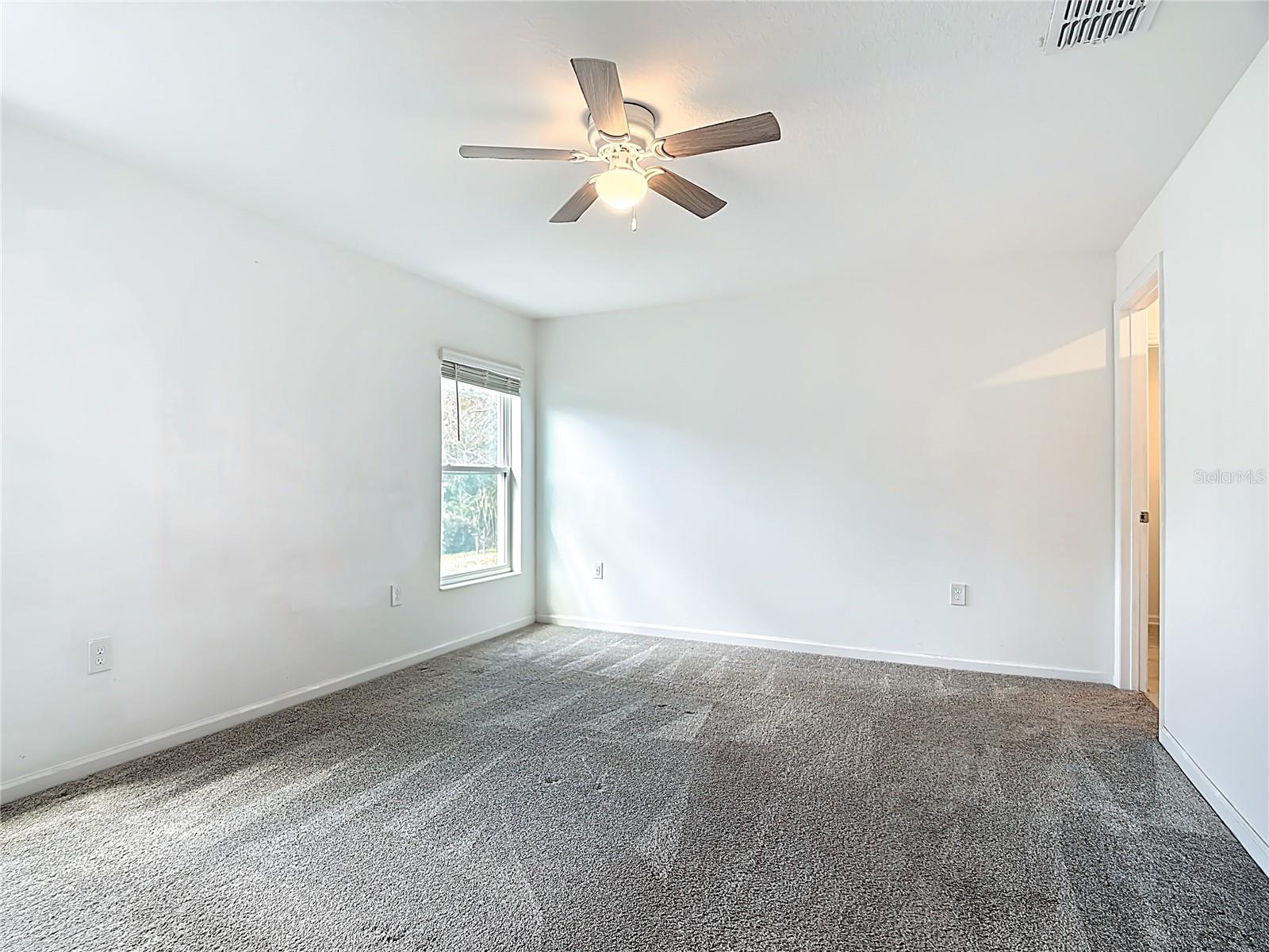 441 Macarthur St Property Photo 18