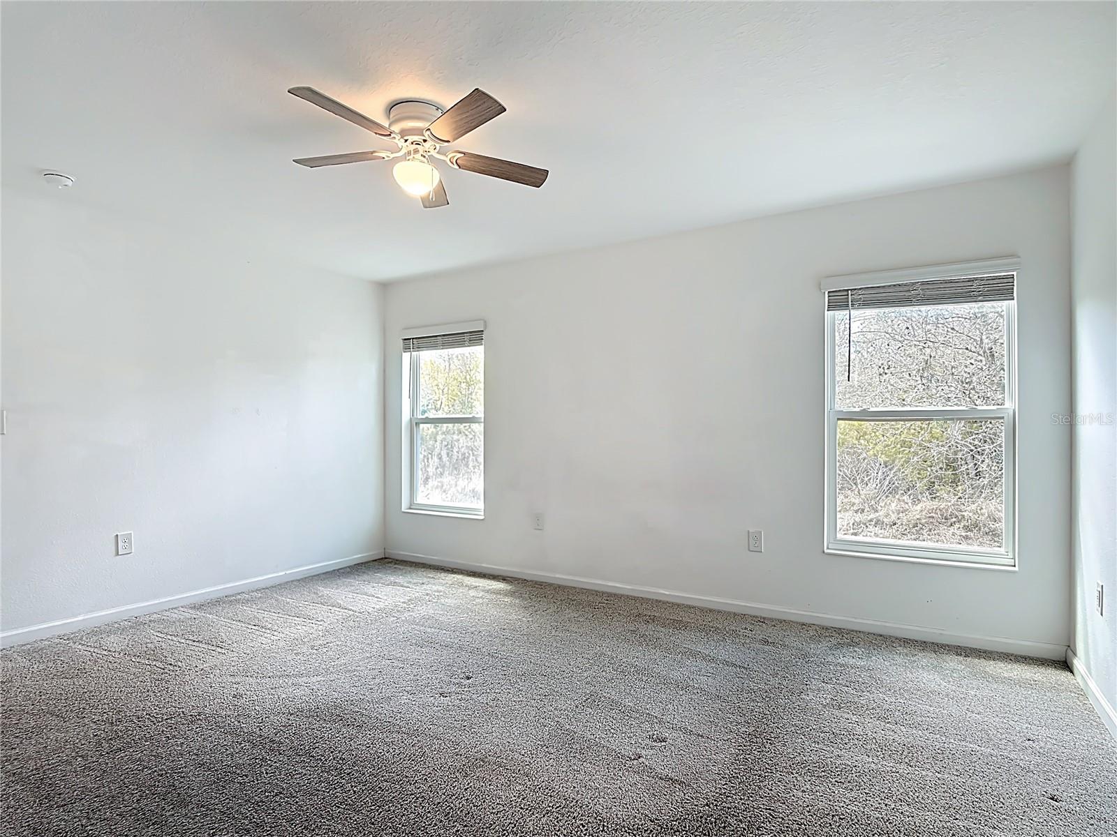 441 Macarthur St Property Photo 19