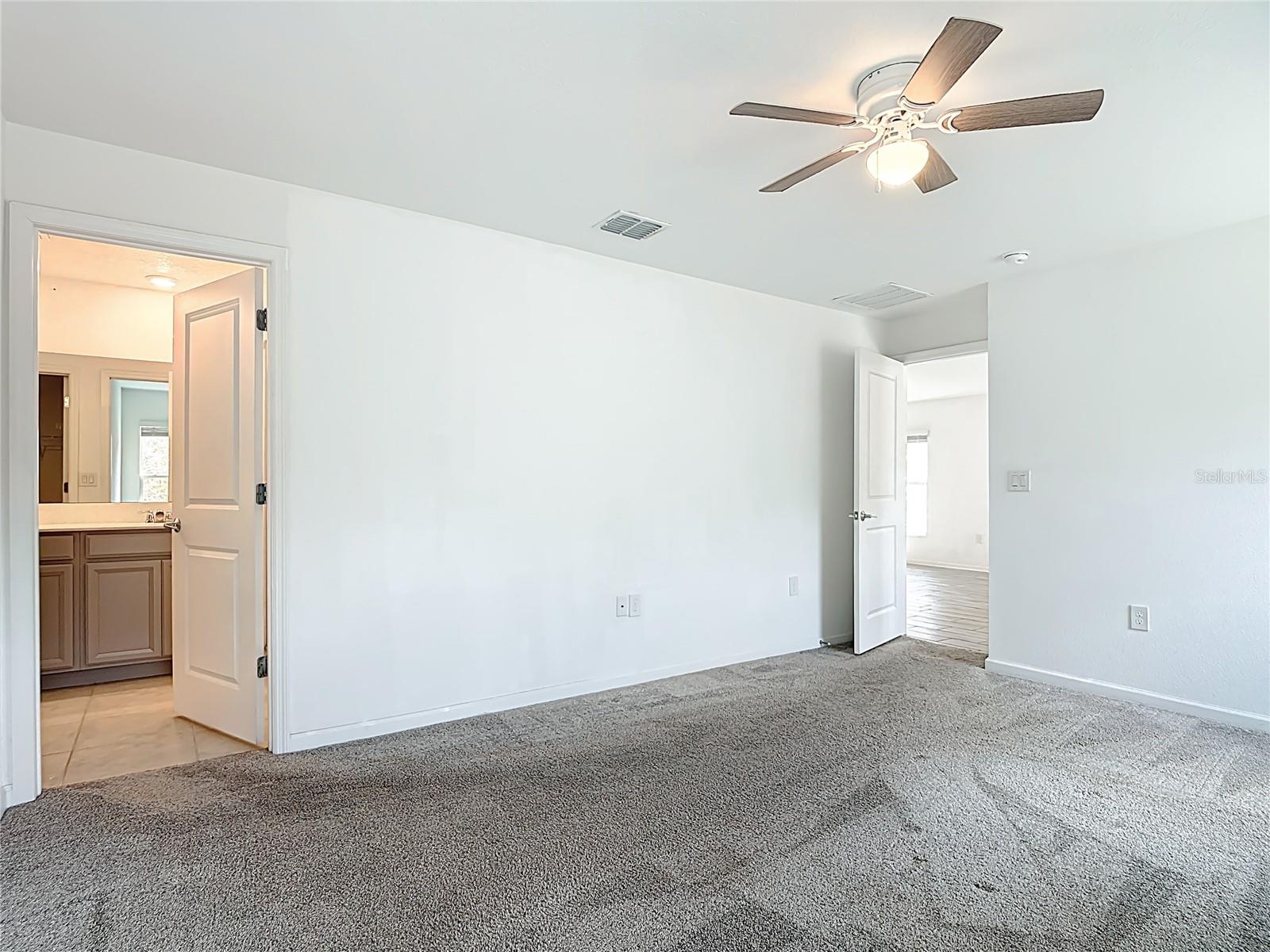 441 Macarthur St Property Photo 21