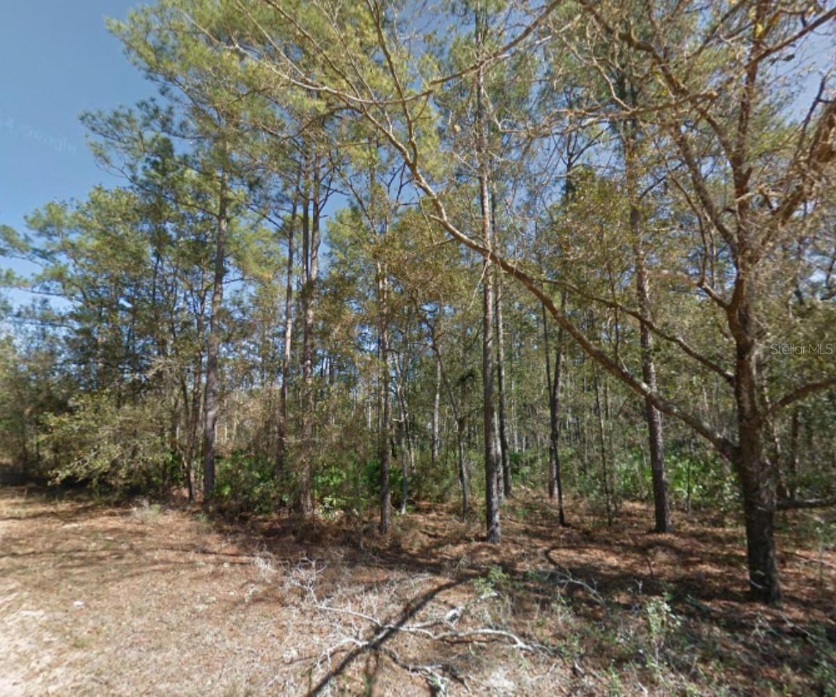 112 Stack Avenue Property Photo 11