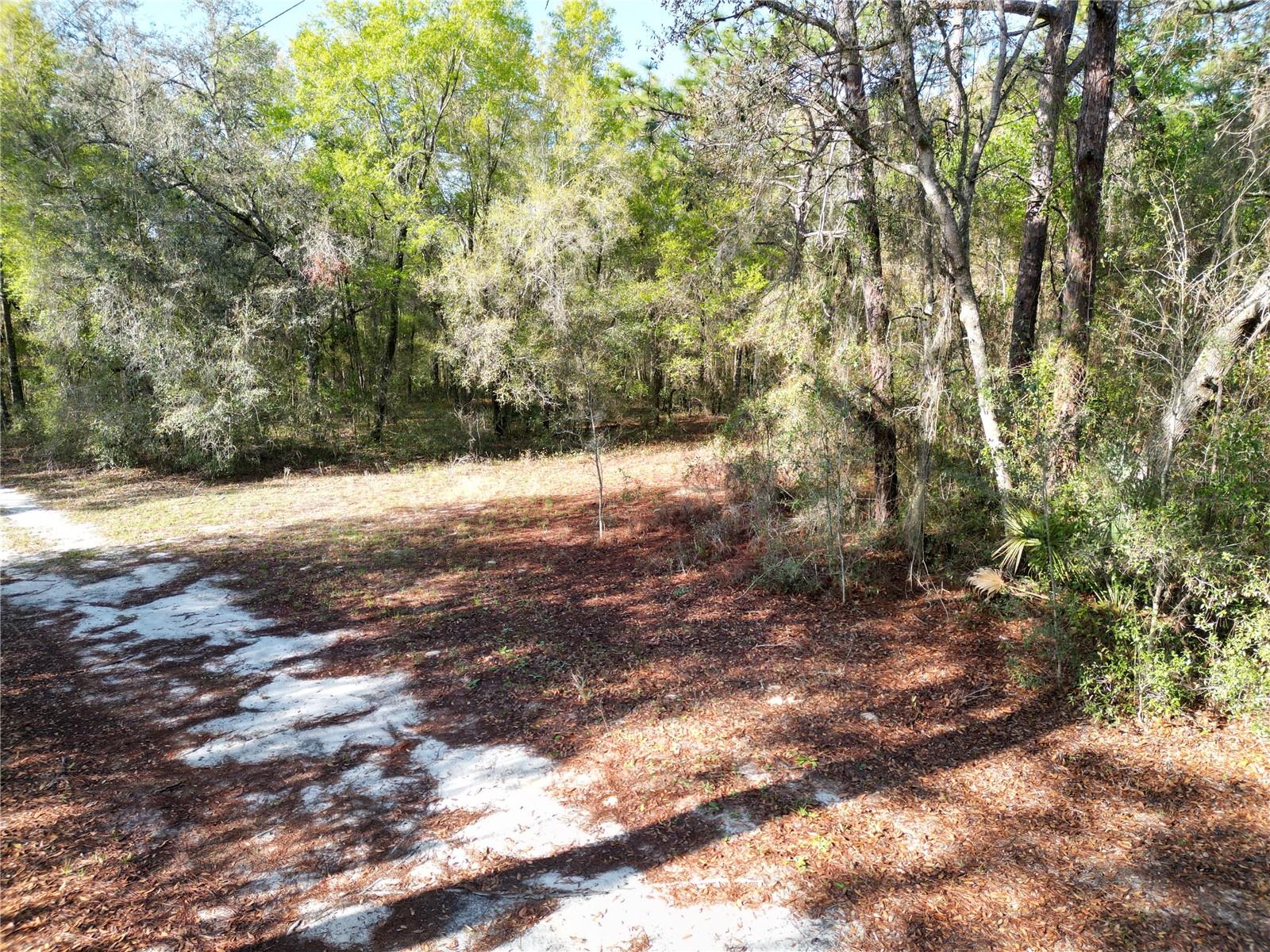 0000 E Hwy 25 Property Photo 3