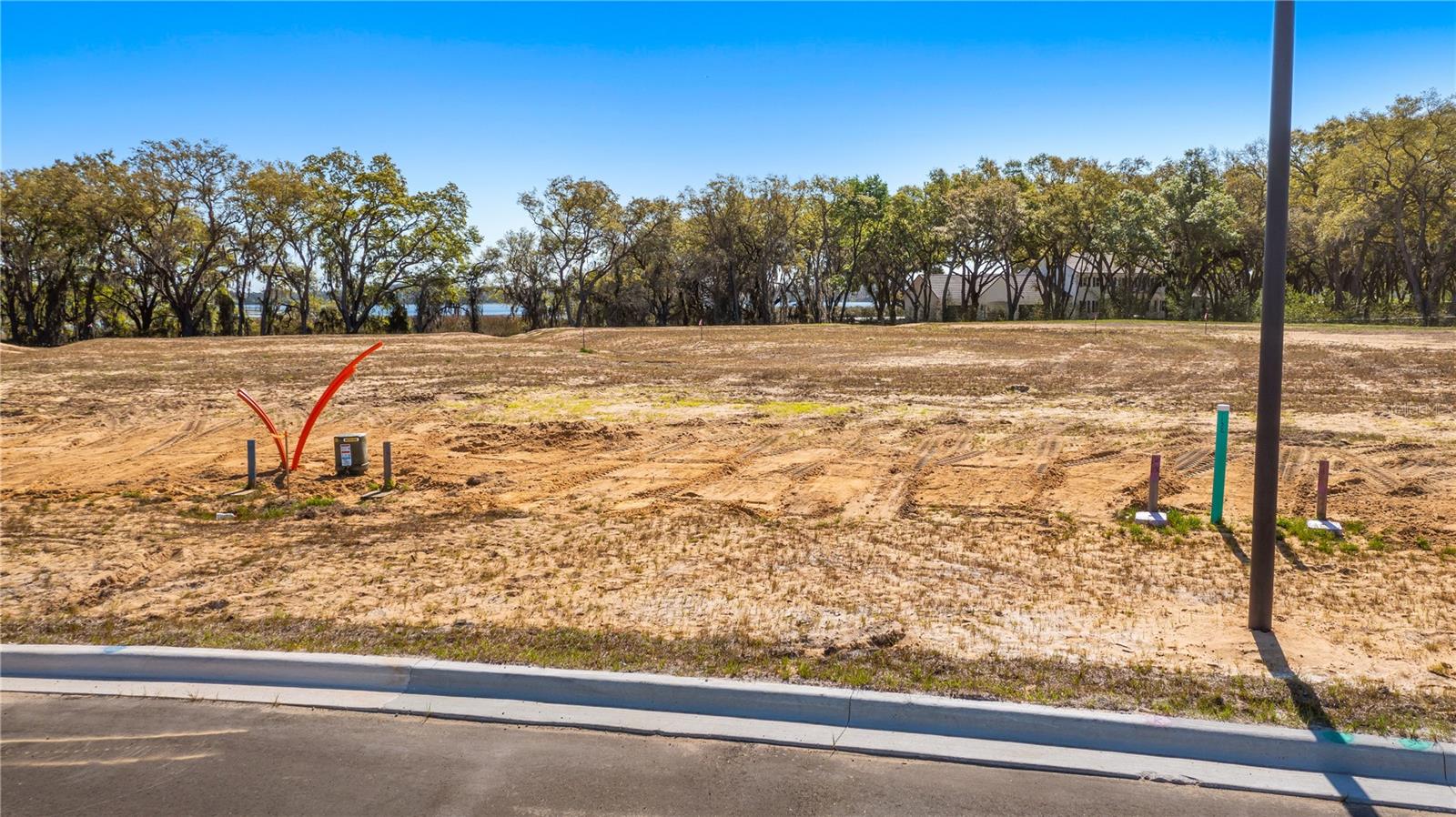 Marigold Belle Cir Property Photo 2