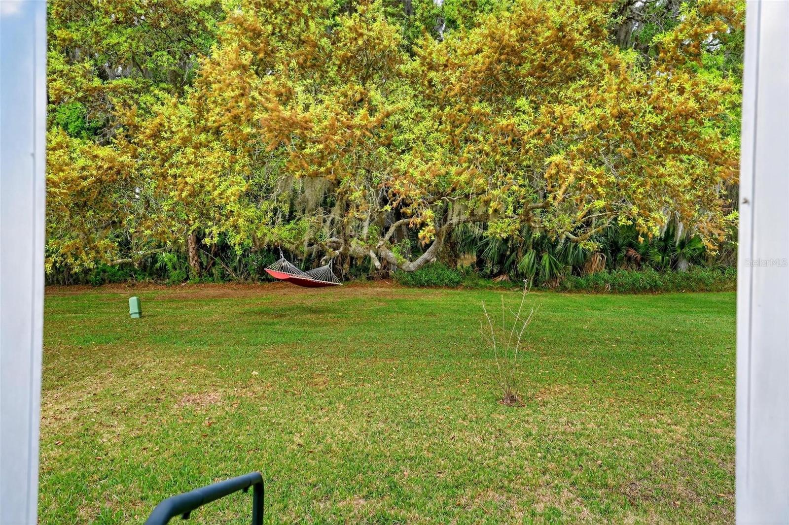 7 Cocos Plumosa Dr #a Property Photo 38