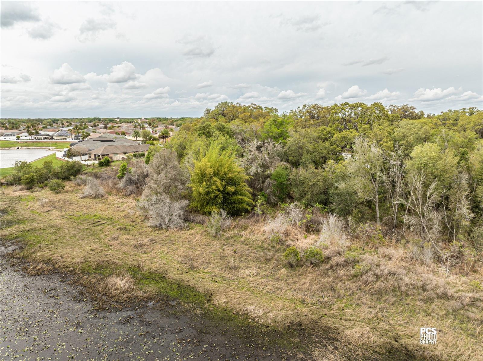 8769 E County Road 466 Property Photo 4