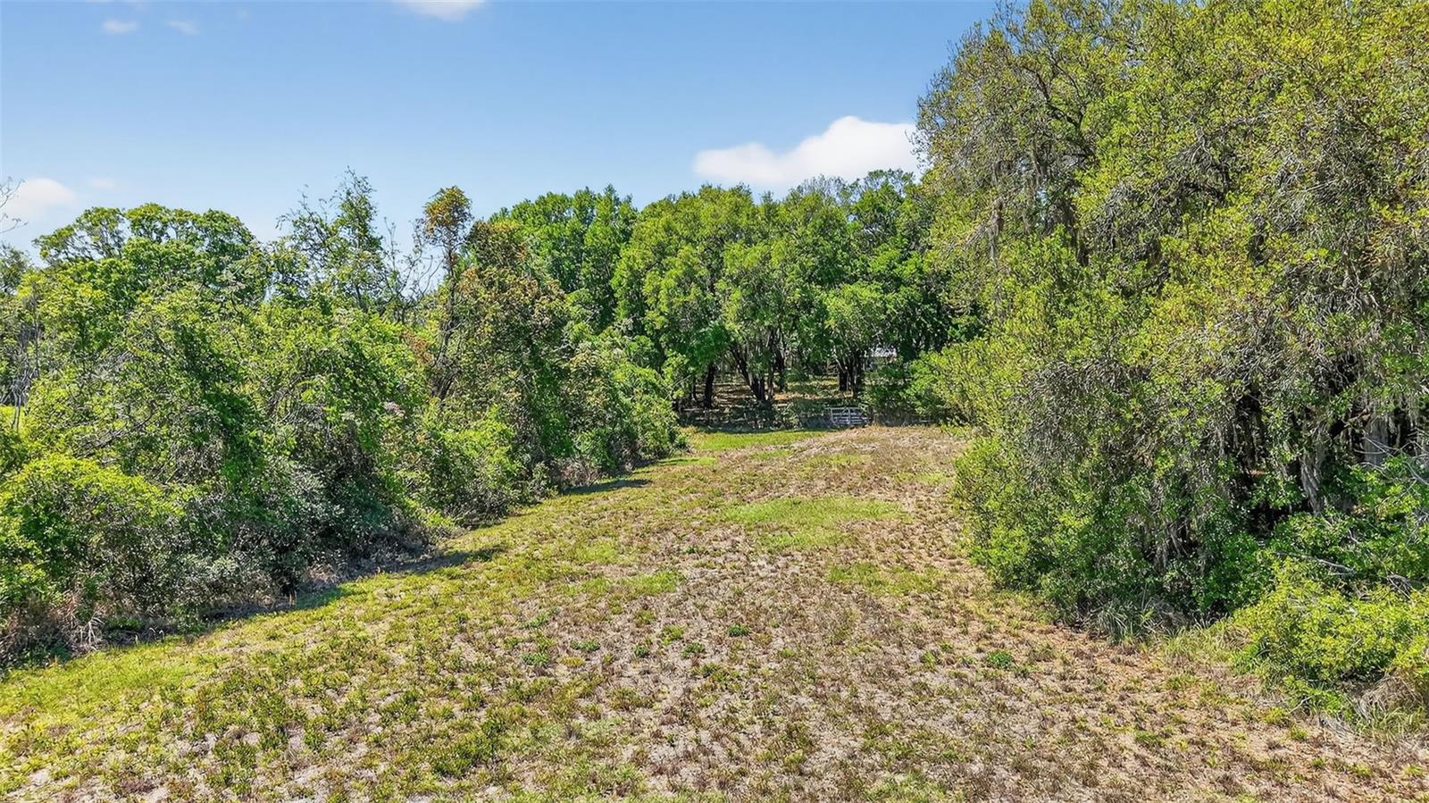 32510 Whitney Rd Property Photo 10