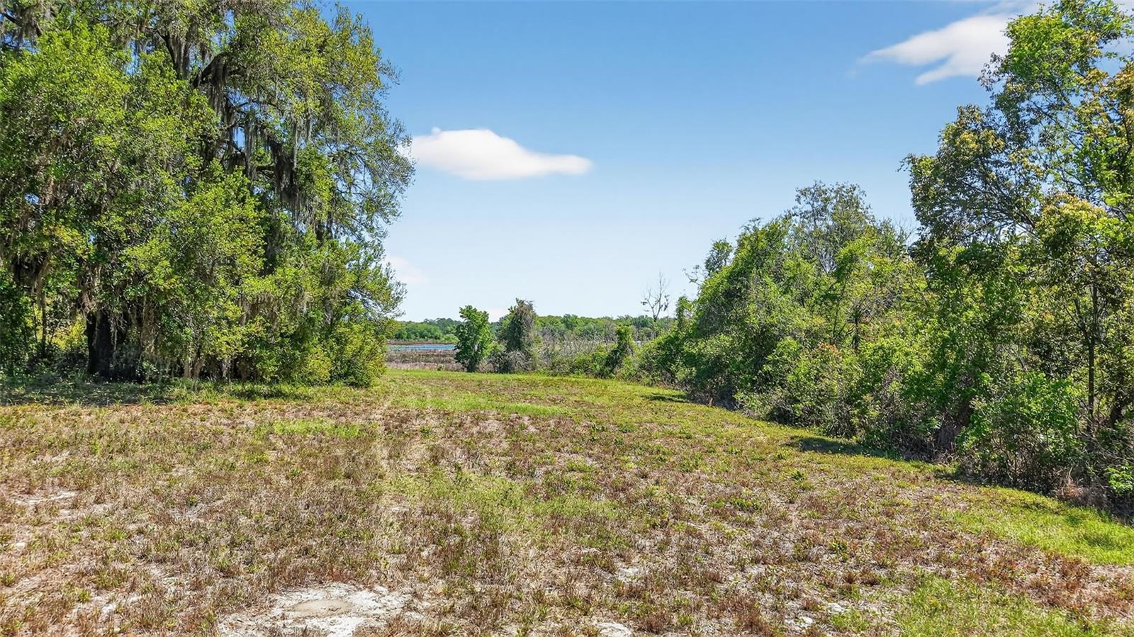 32510 Whitney Rd Property Photo 11